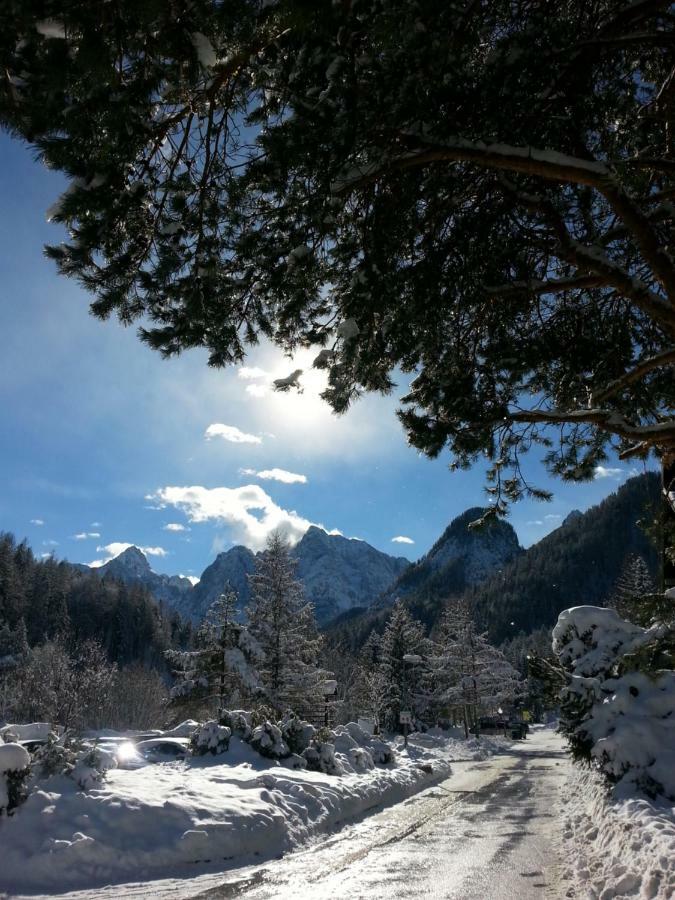Apartmaji Gros Kranjska Gora Kültér fotó